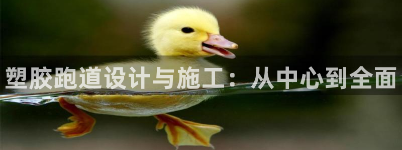 红足一1世手机版新皇冠：塑胶跑道设计与施工：从中心到全面