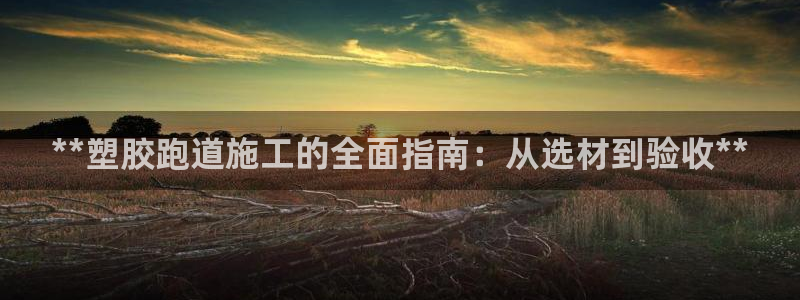 777814红·足一世:**塑胶跑道施工的全面指南:从选材到验收**