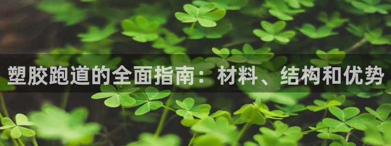 百度红足一1视频在线观看:塑胶跑道的全面指南:材料、结构和优势