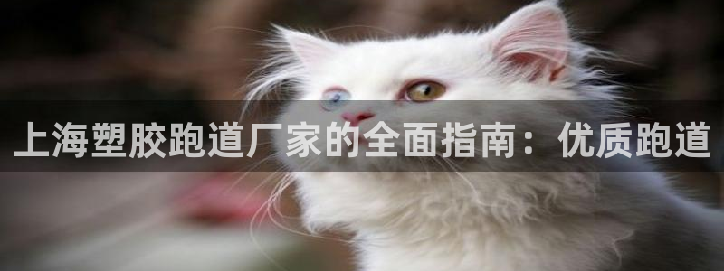 百度红足一1视频在线观看：上海塑胶跑道厂家的全面指南：优质跑道