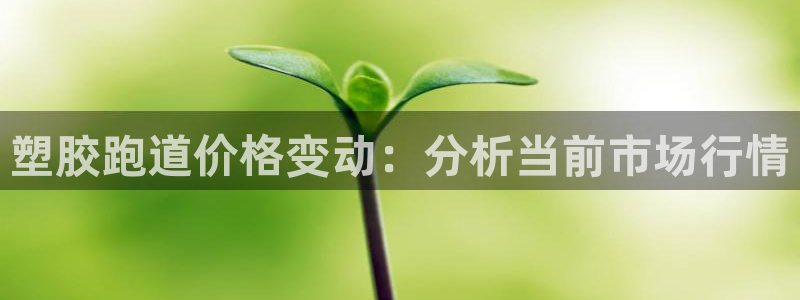 红姐现场直播开奖记录：塑胶跑道价格变动：分析当前市场行情