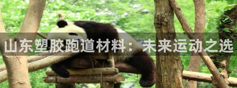 红足一1世手机开奖:山东塑胶跑道材料:未来运动之选