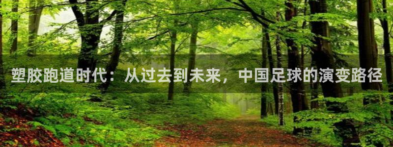 红足1世足球网址:塑胶跑道时代:从过去到未来,中国足球的演变路径