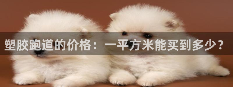 红足1世足球网址