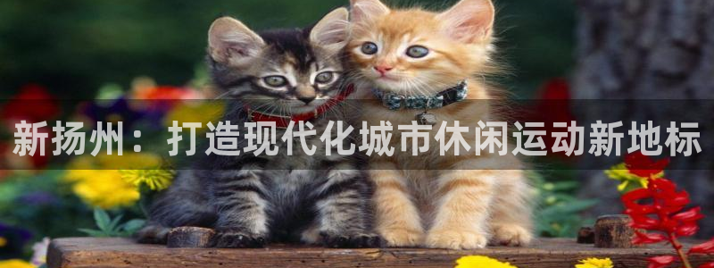 红足1世足球比分：新扬州：打造现代化城市休闲运动新地标