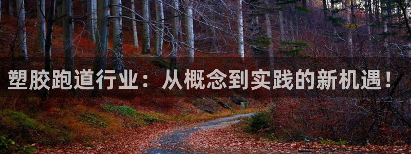 红足一1世官网比分：塑胶跑道行业：从概念到实践的新机遇！
