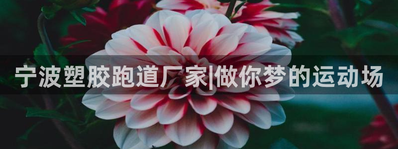 红足体育网：宁波塑胶跑道厂家|做你梦的运动场