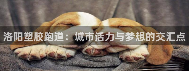 红足1世官网：洛阳塑胶跑道：城市活力与梦想的交汇点