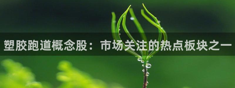 66814红足一66814世：塑胶跑道概念股：市场关注的热点板块之一