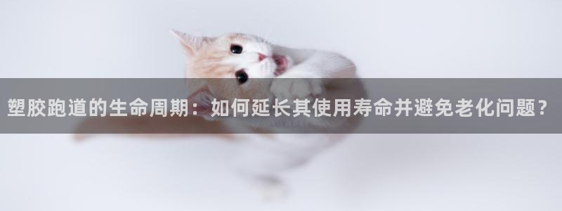 红足一1世666814足球：塑胶跑道的生命周期：如何延长其使用寿命并避免老化问题？