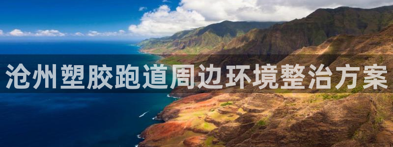 红足一1世皇冠：沧州塑胶跑道周边环境整治方案