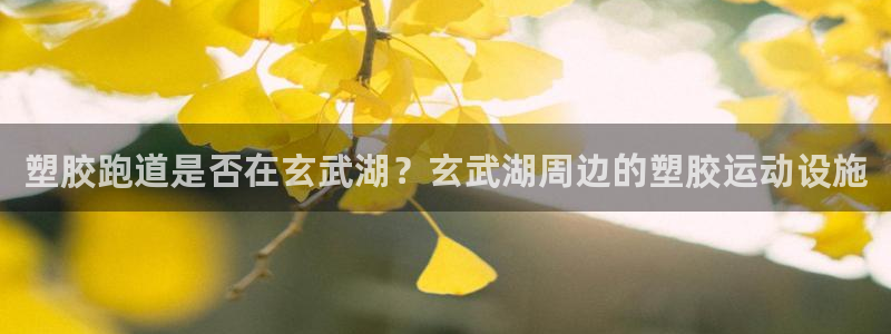 333814红·足一世比分：塑胶跑道是否在玄武湖？玄武湖周边的塑胶运动设施