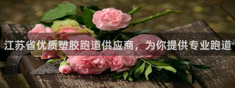 红足1世官网：江苏省优质塑胶跑道供应商，为你提供专业跑道