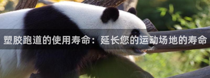 红足 世足球手机网：塑胶跑道的使用寿命：延长您的运动场地的寿命