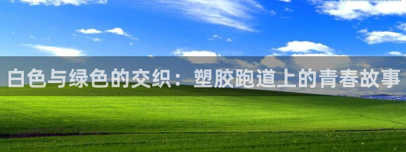 红足1世足球比分：白色与绿色的交织：塑胶跑道上的青春故事