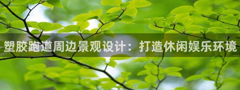 红足1世足球：塑胶跑道周边景观设计：打造休闲娱乐环境