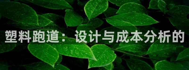 红足一1世比分：塑料跑道：设计与成本分析的