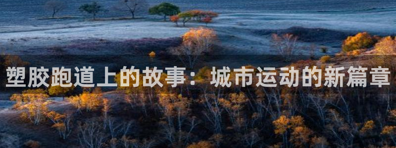 红足一1世666814足球：塑胶跑道上的故事：城市运动的新篇章