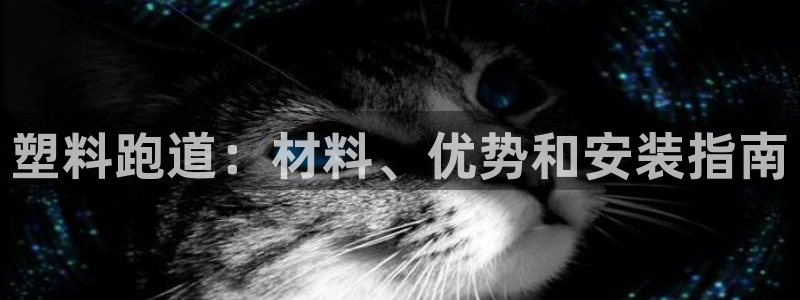 红足1一世红：塑料跑道：材料、优势和安装指南