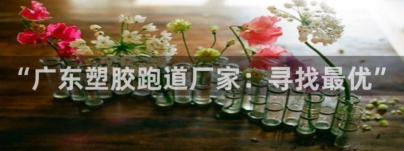 红足一1世66814新宝：“广东塑胶跑道厂家：寻找最优”