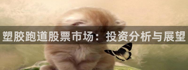 红足网足球直播：塑胶跑道股票市场：投资分析与展望