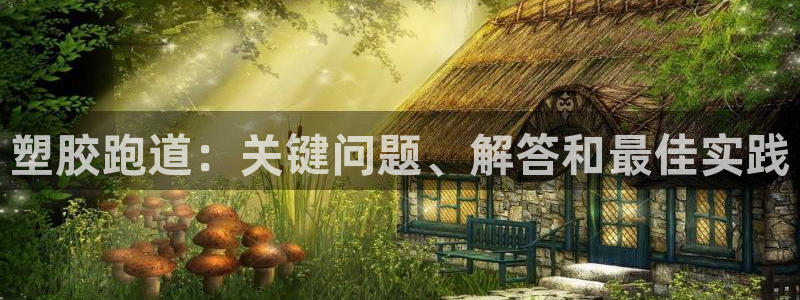 红足一生世：塑胶跑道：关键问题、解答和最佳实践