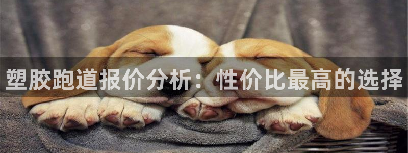 红足一1世666814足球比分网：塑胶跑道报价分析：性价比最高的选择