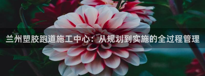 66814红足一66814世：兰州塑胶跑道施工中心：从规划到实施的全过程管理