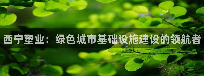 777814红·足一世比分篮球：西宁塑业：绿色城市基础设施建设的领航者