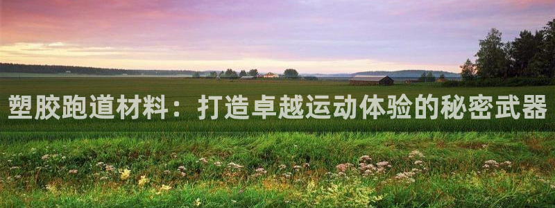 红足1世手足球比分：塑胶跑道材料：打造卓越运动体验的秘密武器