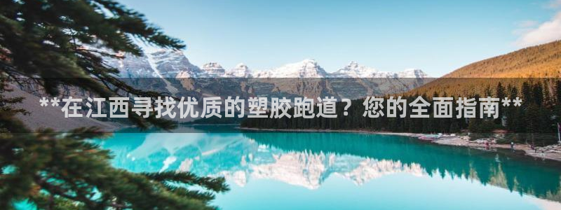 44814红足：**在江西寻找优质的塑胶跑道？您的全面指南**