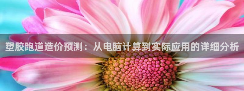 777814红·足一世比分篮球：塑胶跑道造价预测：从电脑计算到实际应用的详细分析