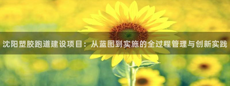 红足1一世：沈阳塑胶跑道建设项目：从蓝图到实施的全过程管理与创新实践