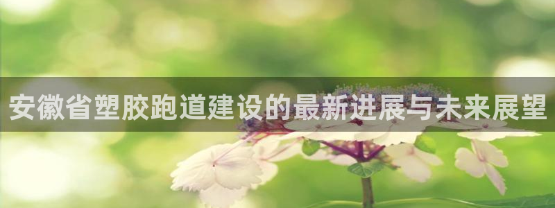 红足一1世：安徽省塑胶跑道建设的最新进展与未来展望