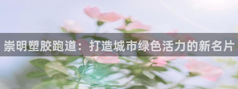77814红足1世：崇明塑胶跑道：打造城市绿色活力的新名片