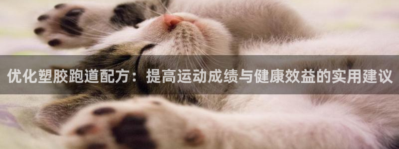 红足1一世 2站：优化塑胶跑道配方：提高运动成绩与健康效益的实用建议