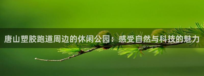 红足1世足球：唐山塑胶跑道周边的休闲公园：感受自然与科技的魅力