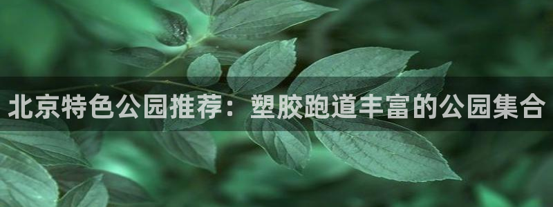 红足一比分网：北京特色公园推荐：塑胶跑道丰富的公园集合