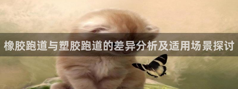 红足一1世66814新宝：橡胶跑道与塑胶跑道的差异分析及适用场景探讨