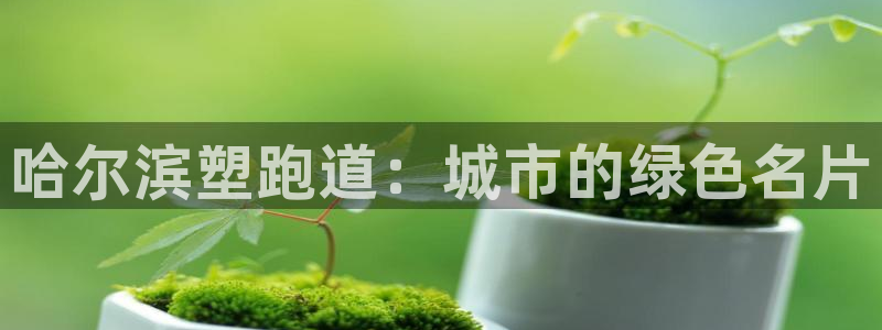 红足一1世手机版新皇冠：哈尔滨塑跑道：城市的绿色名片
