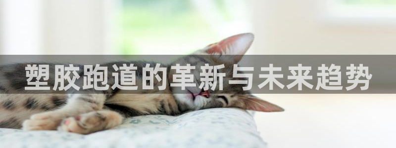 红足一1世皇冠登录：塑胶跑道的革新与未来趋势