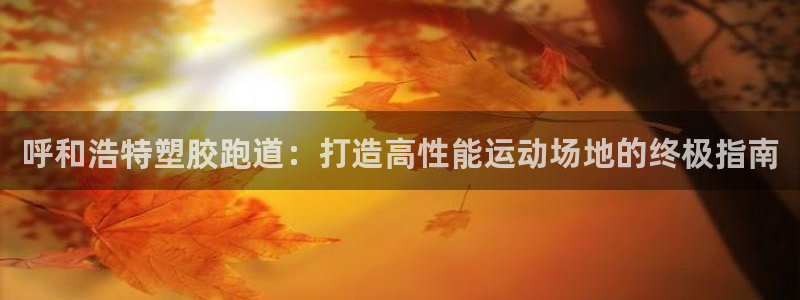红足一1世比分网：呼和浩特塑胶跑道：打造高性能运动场地的终极指南