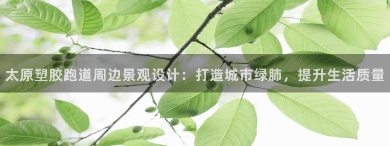 红足1世1站：太原塑胶跑道周边景观设计：打造城市绿肺，提升生活质量