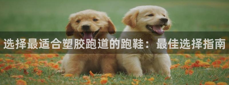 红足一1世77814：选择最适合塑胶跑道的跑鞋：最佳选择指南