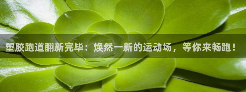红足一比分网：塑胶跑道翻新完毕：焕然一新的运动场，等你来畅跑！
